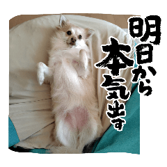 mugi_20260112212143