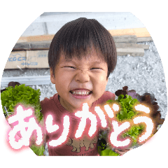 kana_20260112