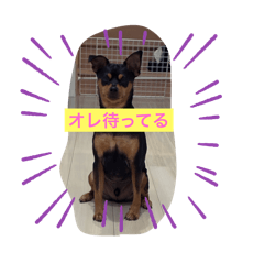 minmin_20260112212935