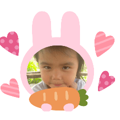 Bai king_20260112183514