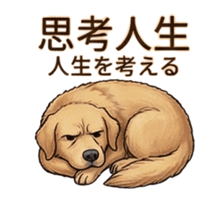 黃金亮亮：深夜emo與社畜的崩潰日常