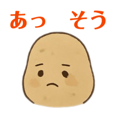 kazuya75_20260112205727