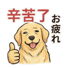 黃金亮亮：溫暖日常與職場生活