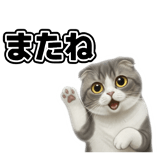 Nicosuki_20260112222907