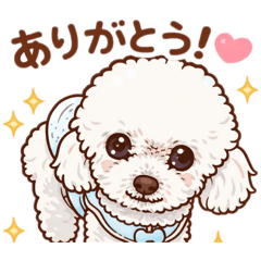 Nozomi_20260112191307