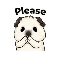 Wissy_20260112171856