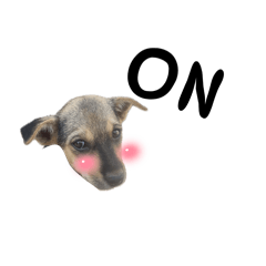 Nikon_20260112172437