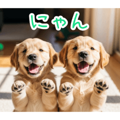 毎日使えるゴールデンの赤ちゃんの日常