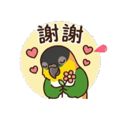 黑頭凱克～1可愛風