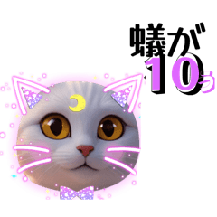 ニャァのあいさつ状Part12