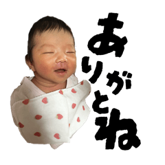 Yoshiken_20260112214413