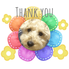 Haruna_20260112214330