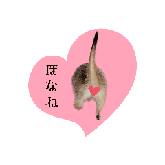 rinmama_20260112214627