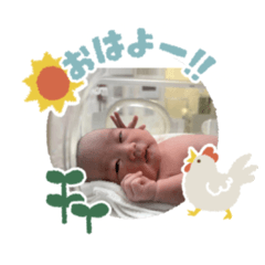 pepepe_20260112223015