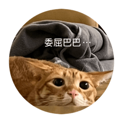 阿里狗以抖喵喵