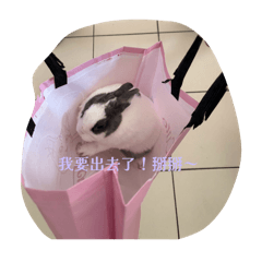 兔寶～