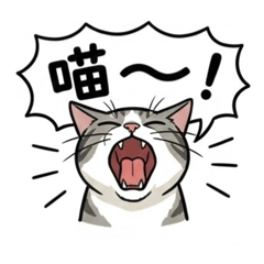 熊讚是隻虎斑貓