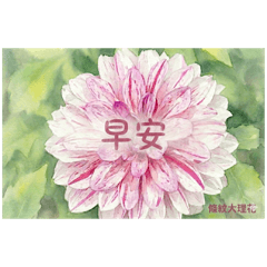 花色の朝｜日系禪風早安圖