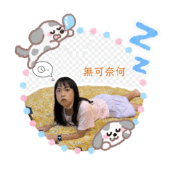 霏魚的日常
