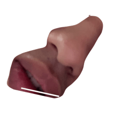 poyoyo_20260110233929