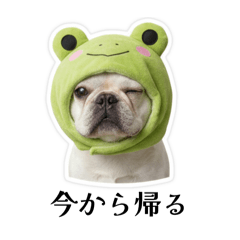 Bul sans Everyday Words