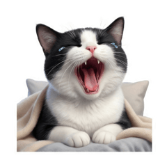 LemonSoda_20260113070122