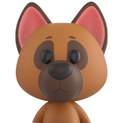 Buddy German Shepherd