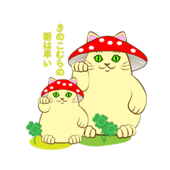 mushroom cat(kinoco neco)