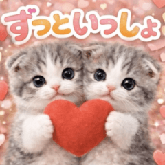 飛び出す♡だいすき♡にゃんこ