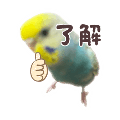 sakura_20260112233357