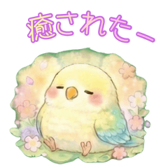 Cute Cheerful Parakeet Stickers