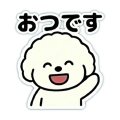 Fluffy Bichon at Work (Polite)