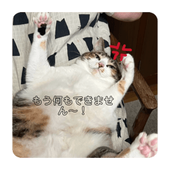 sunagimo_20260113005506