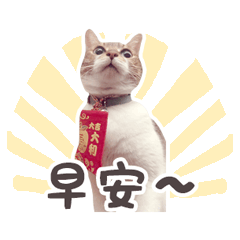 可愛的小搗蛋♥