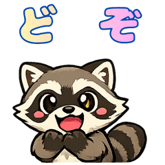 Fluffy & Cute Raccoon