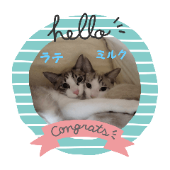 suzuhiro_20260113010347