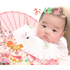 dawa_20260113130150