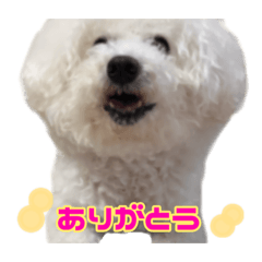 Donburi_20260113011206