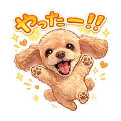 lovely love_20260111044821