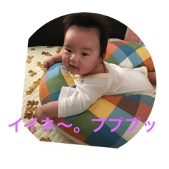 KOTASUTA2