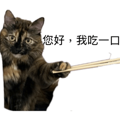 你好我是野格喵喵