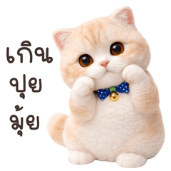 Khao-Pong Cute cat 3D