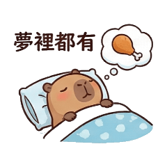 卡皮巴拉與夥伴