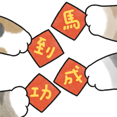 cat's hand5 - cream tabby cat