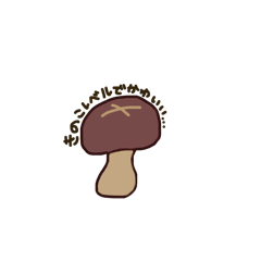 mirin_20260111020826