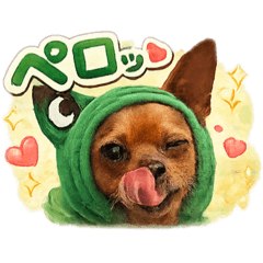 momo_20260113090535