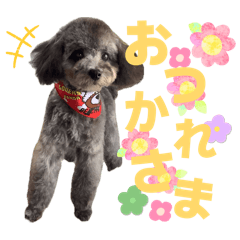 HIRONA_20260113093428