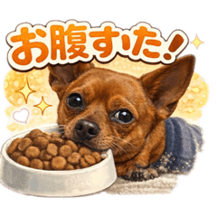 momo_20260113094905