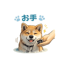 sakura_20260113095934