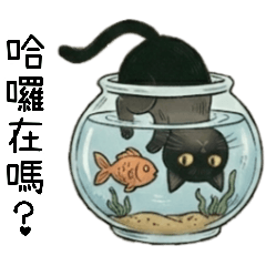 黑豆貓3百變日常